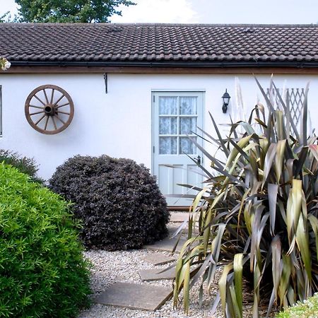 Ashton Cottages Чедър Екстериор снимка